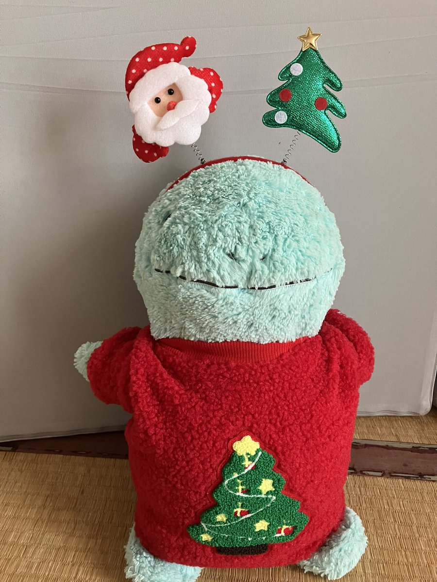 かわいい🎄(˙𐃷˙)