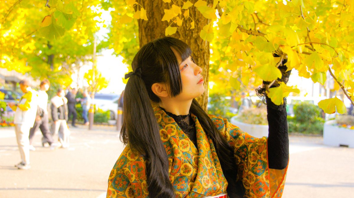🍁🍂