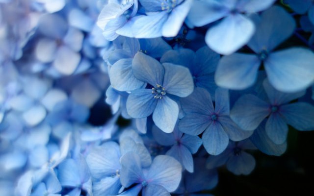 danilopdl's tweet image. Thus, the above examples show how to set up, package, and test a Spring Modulith application.

Read more 👉 lttr.ai/Al2s6

#DomainDrivenDesign #SpringFramework #SpringBoot