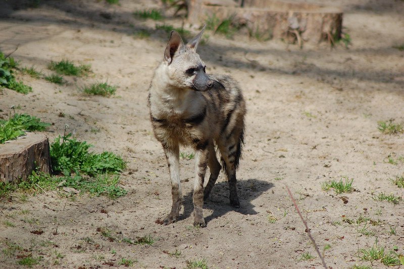 HourlyYeen tweet media