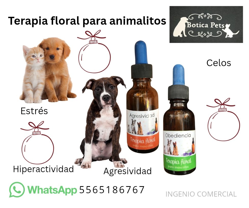 BoticaPets's tweet image. ¿Haces todo por ellos?