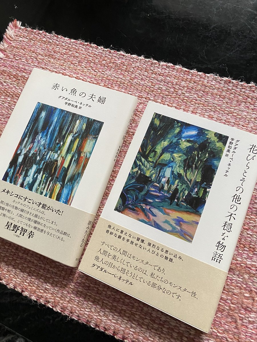 グアダルーペ・ネッテルの長篇『一人娘』
いい! すごくいい‼︎
途中涙が出て仕方なく、気付くとある人物に向けて、がんばれがんばれと応援してる。
ネッテルは、前短篇集2冊で馴染んできたけど、長篇も素晴らしい。
彼女の短篇'ゴミ箱の中の戦争'は、読んでて鳥肌が立ってしまうが、これがまたいいの