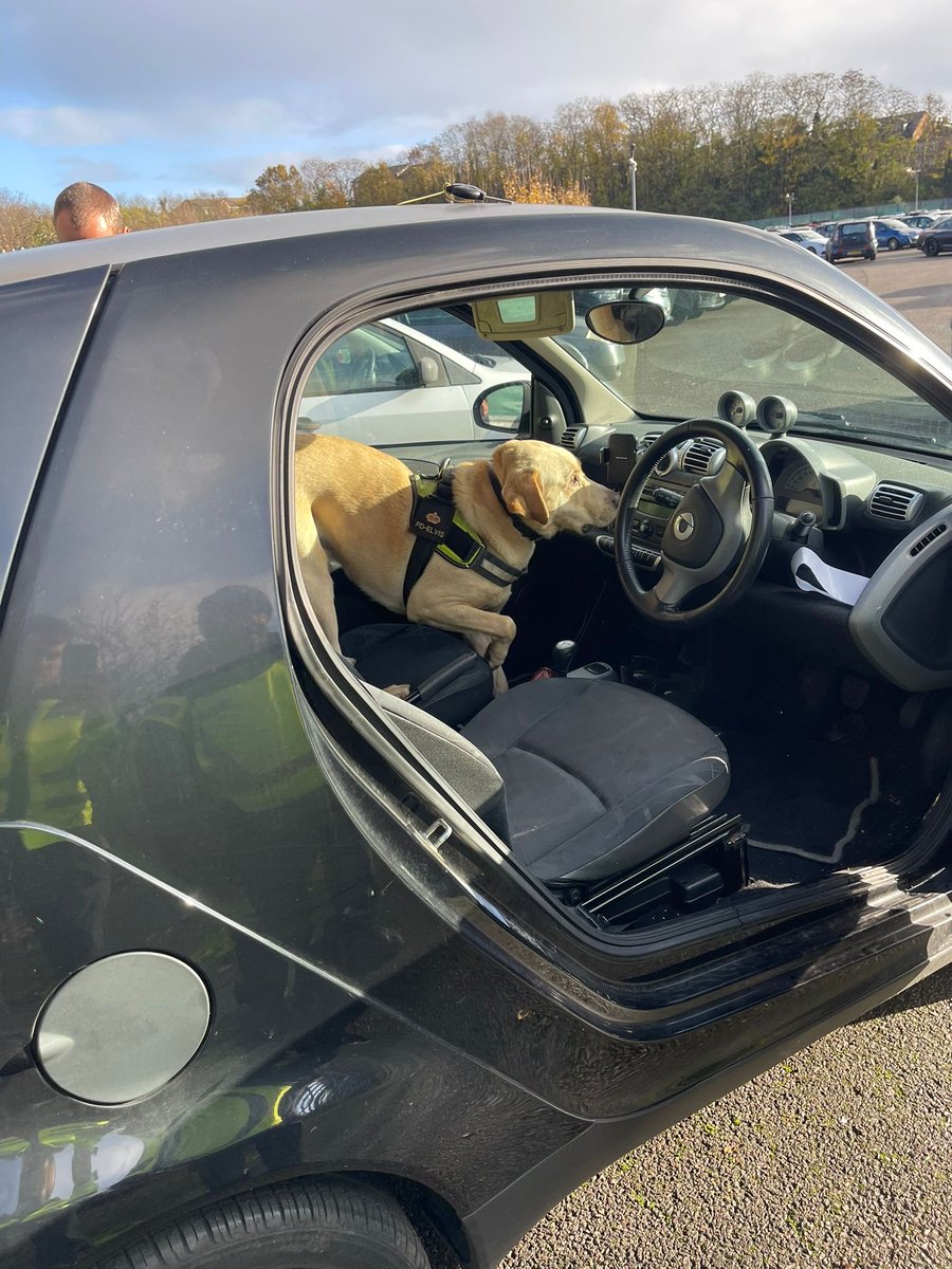 CityPoliceDogs tweet media