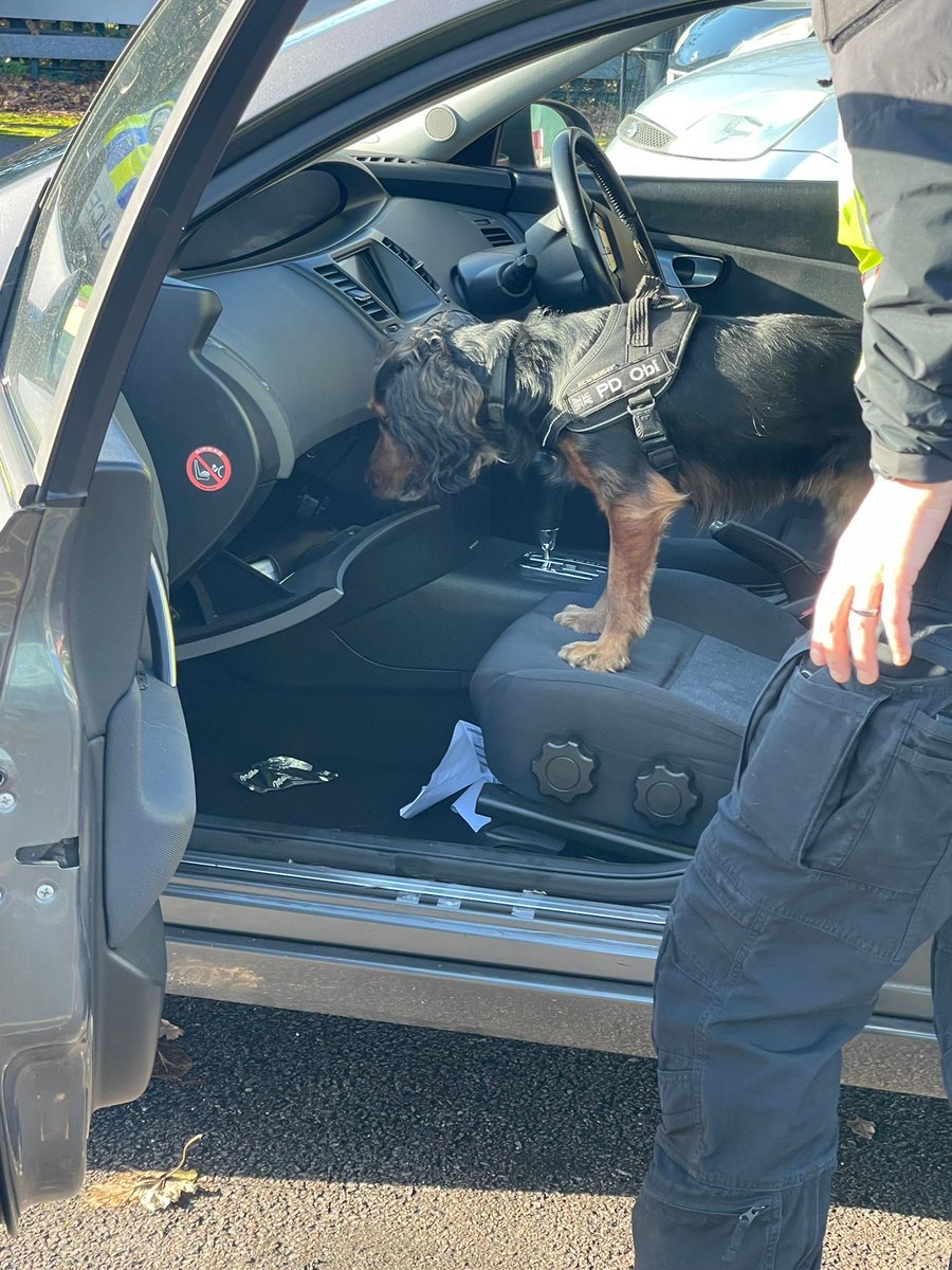 CityPoliceDogs tweet media