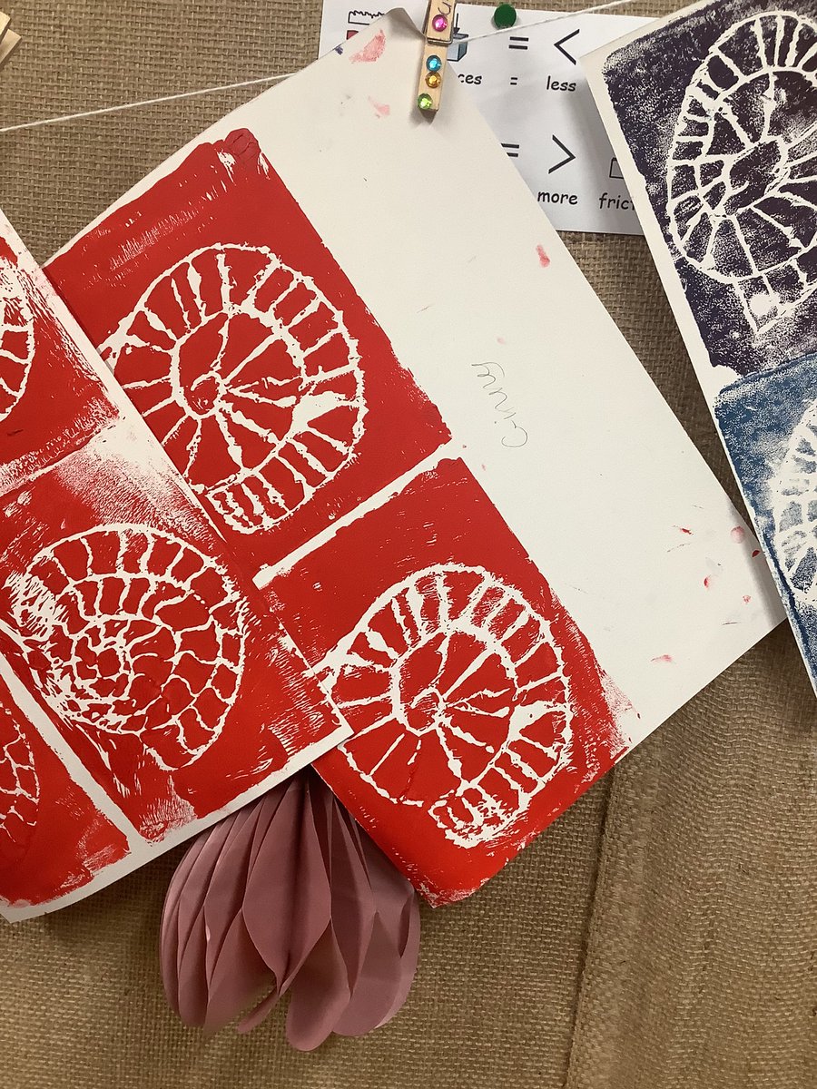 Pine Class St. David’s Haigh tweet media