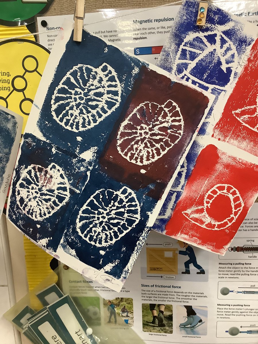 Pine Class St. David’s Haigh tweet media