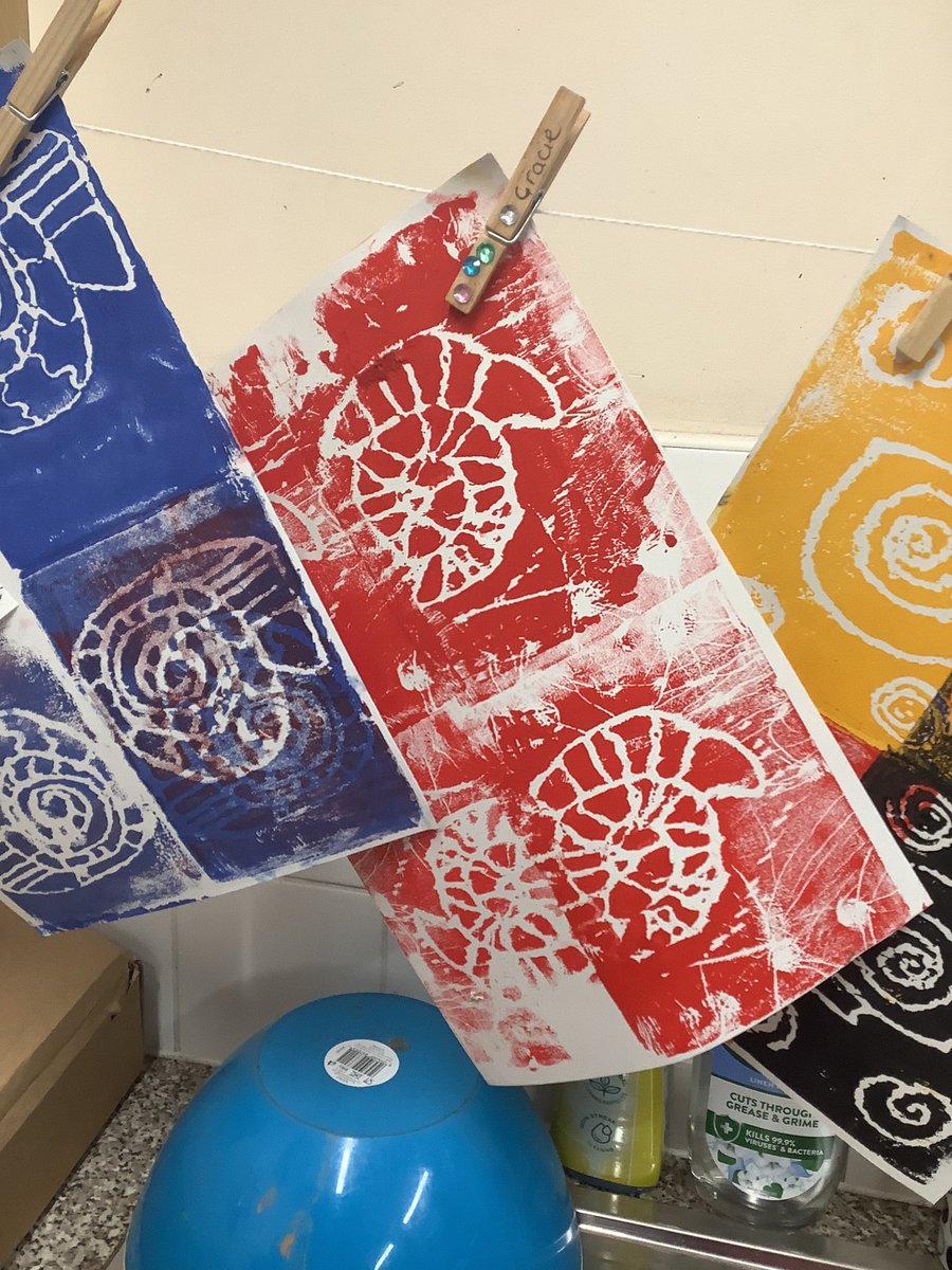 Pine Class St. David’s Haigh tweet media