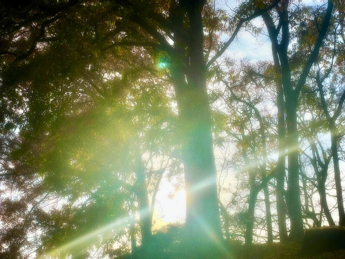 空気 (@tabi_0101) on Twitter photo 