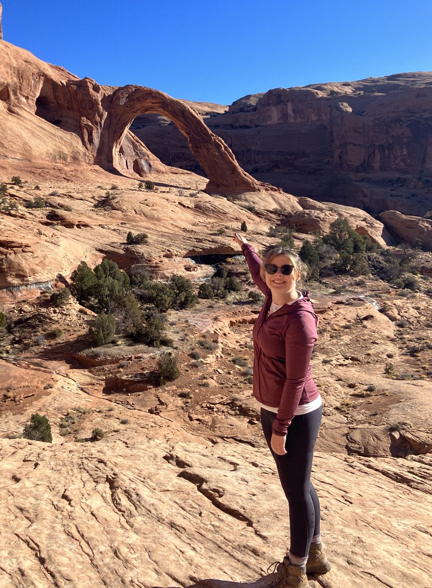 Seds Online tweet media