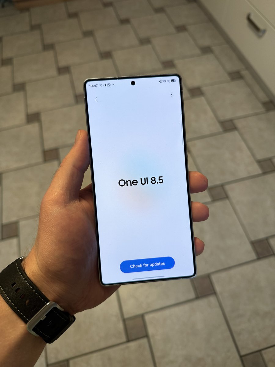 Max Jambor tweet media