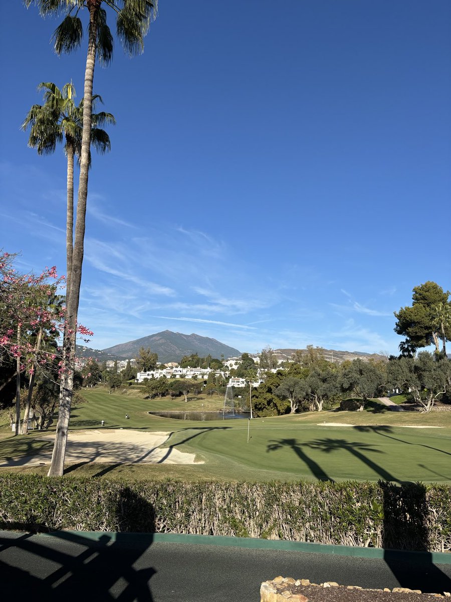 Morning from ⁦<a href="/alohagolfclub/">Club de Golf Aloha</a>⁩ 😎