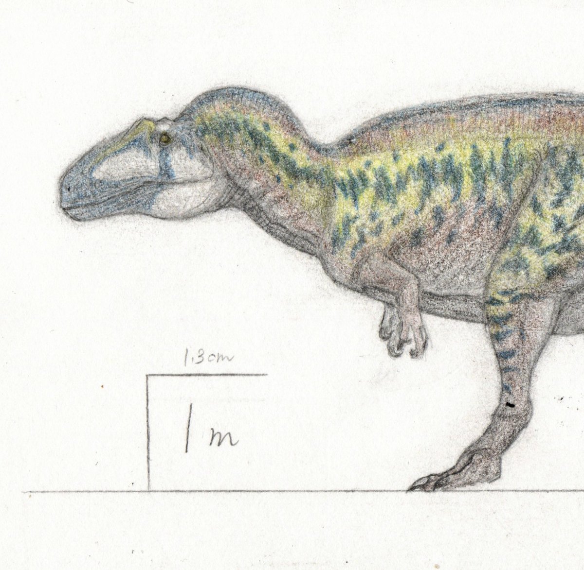 アクロカントサウルス\, image size:1200x1173