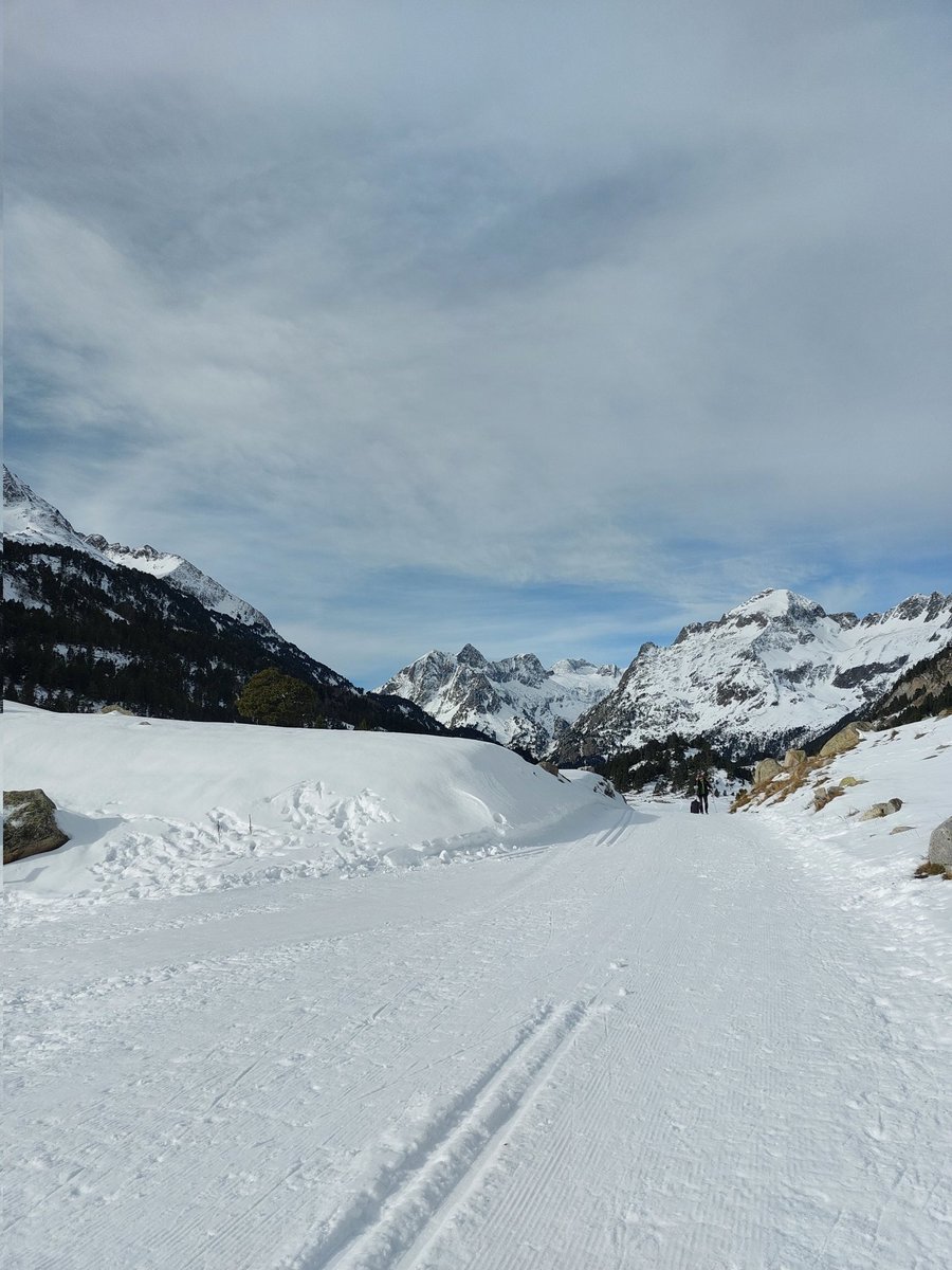 Ricardo Pedrol (@ricardopedrol) on Twitter photo 