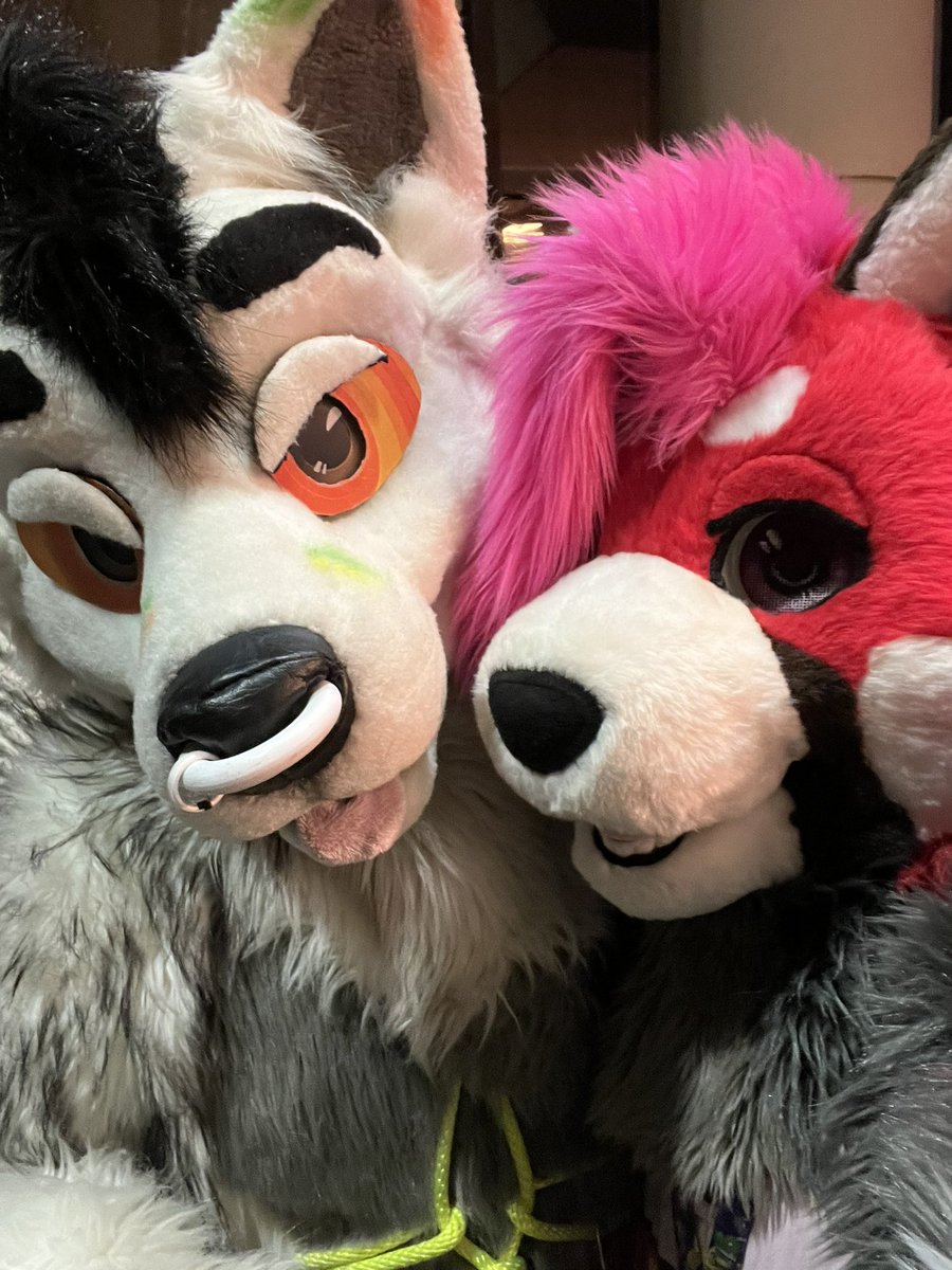 Had a fun time at MFF25. Though my time here was short, it was still very memorable. Pictures with <a href="/Melon_mow/">Soju cat ➔ MFF, FC</a> <a href="/Firefly_Wolfy/">💚𝐅𝐢𝐫𝐞𝐟𝐥𝐲 𝐖𝐨𝐥𝐟𝐲~ 🔜MFF</a> <a href="/FoxNobia/">Benji The Beagle 🔜 MFF 2025</a> <a href="/hroarDog/">hroar</a>