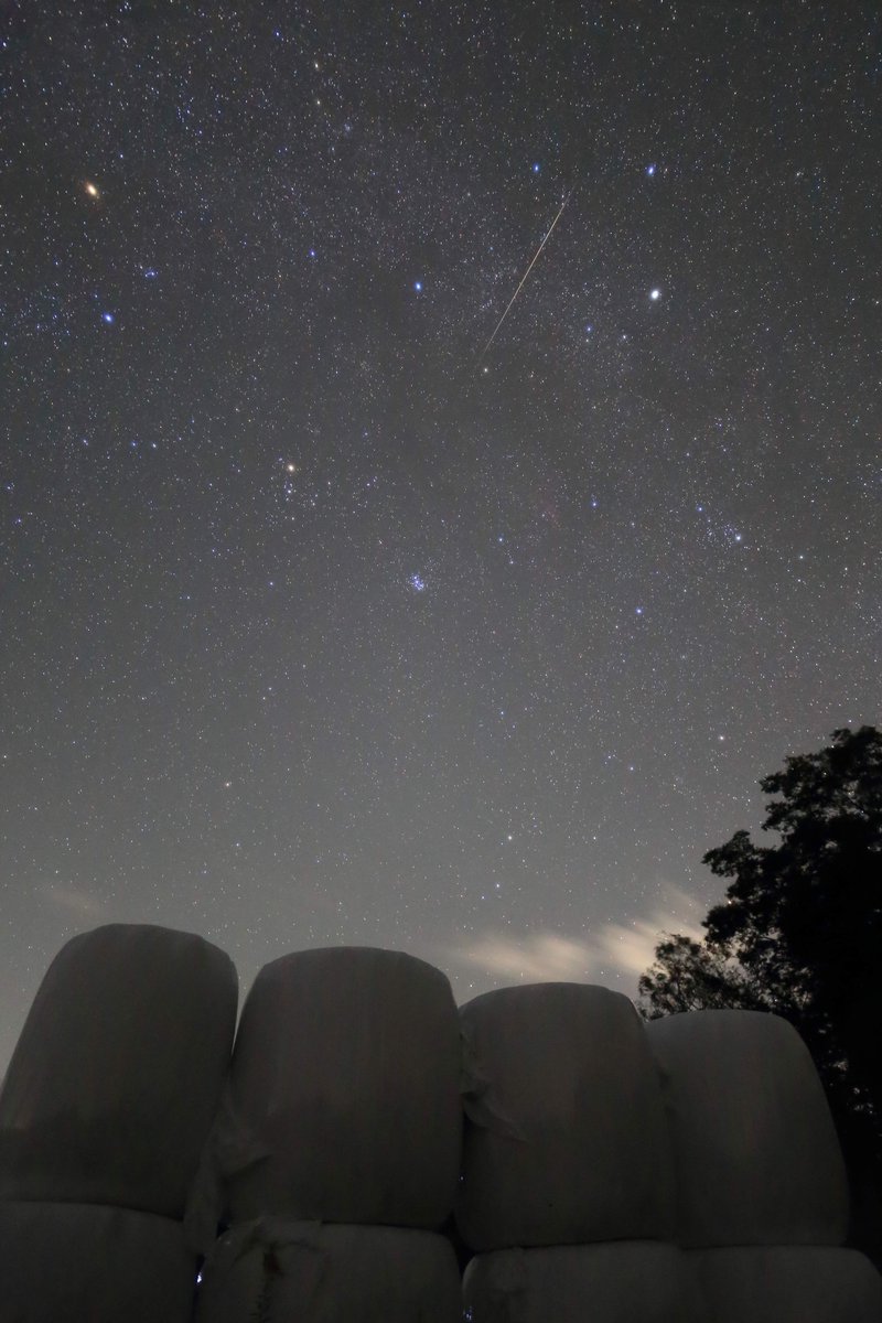 『ぎょしゃを射抜く』

ホワイトロールと西に傾く冬の星々を撮っていたら、流れ星がぎょしゃ座に突き刺さりました☆彡