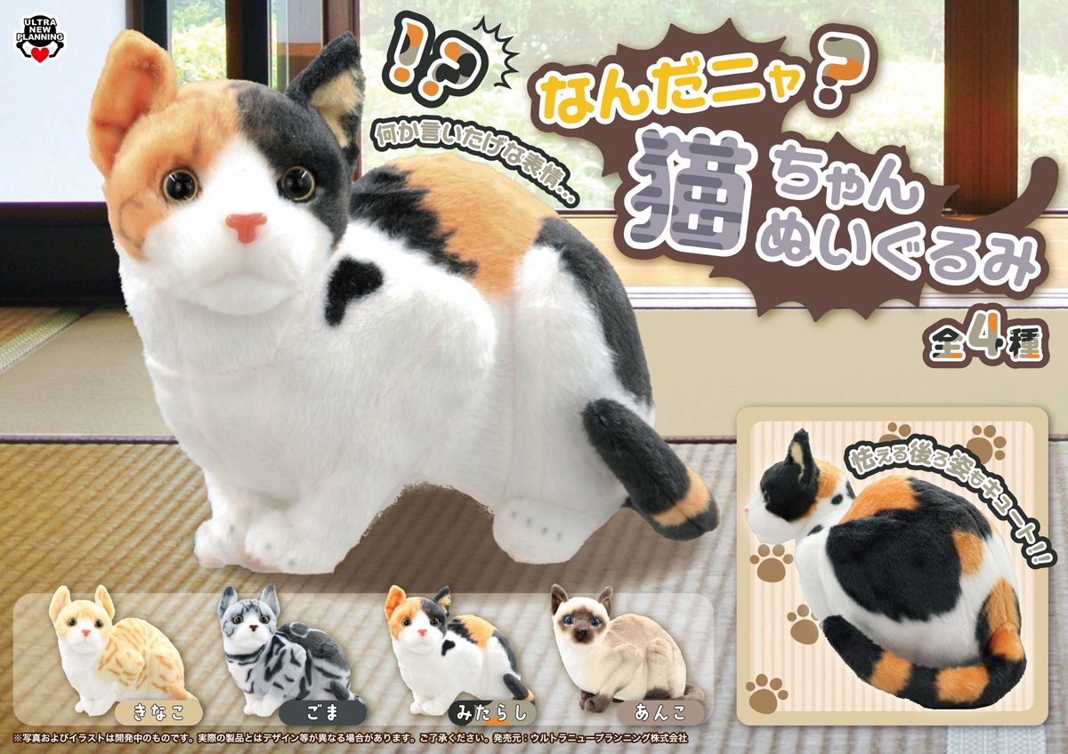 🐈新商品のお知らせ🐈

なんだニャ？猫ちゃんぬいぐるみ

あどけない表情がとってもキュート✨

🐈‍⬛12/11（木）より順次入荷🐈‍⬛