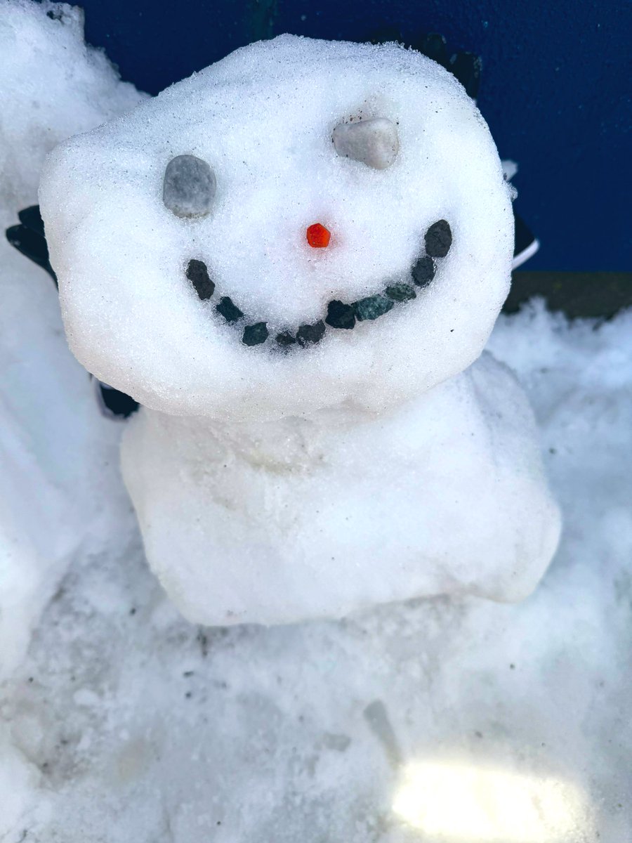 ゆきだるま 函館で、かまくらくずれから 作ったゆきゆきだるま 社長はスケソどこ