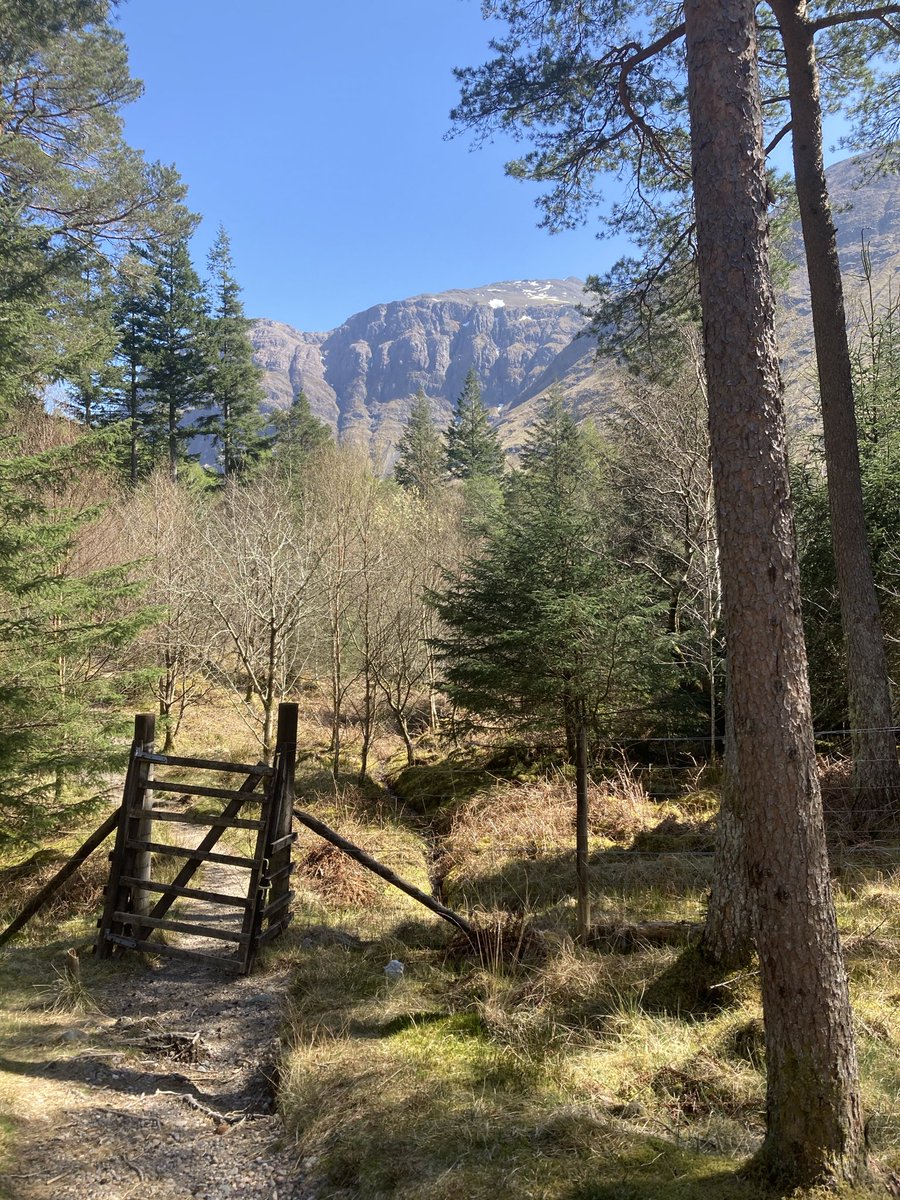 medullatheft's tweet image. the part of scotland where it gets really californian (ive never been to california and idk what it looks like)