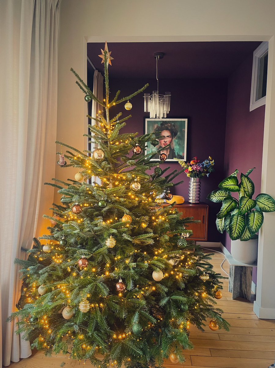 Geven jullie de kerstboom ook ieder jaar een naam (of zijn jullie wel normaal)? Vorig jaar hadden we het genoegen met Beatrijs en dit jaar staat Viola te stralen in onze woonkamer. Voelt toch wat gezelliger dan zo’n anonieme boom in je huis.