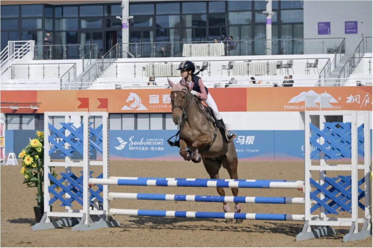 hangzhoufeel's tweet image. 🐎✨Beyond thrilling competitions, the finals in #Tonglu showcased the rising power of #Equestrian + innovation!

At the 2025 Yangtze River Delta Equestrian League Finals, over 500 rider-horse pairs delivered an unforgettable show of speed, skill, and elegance. As the year's