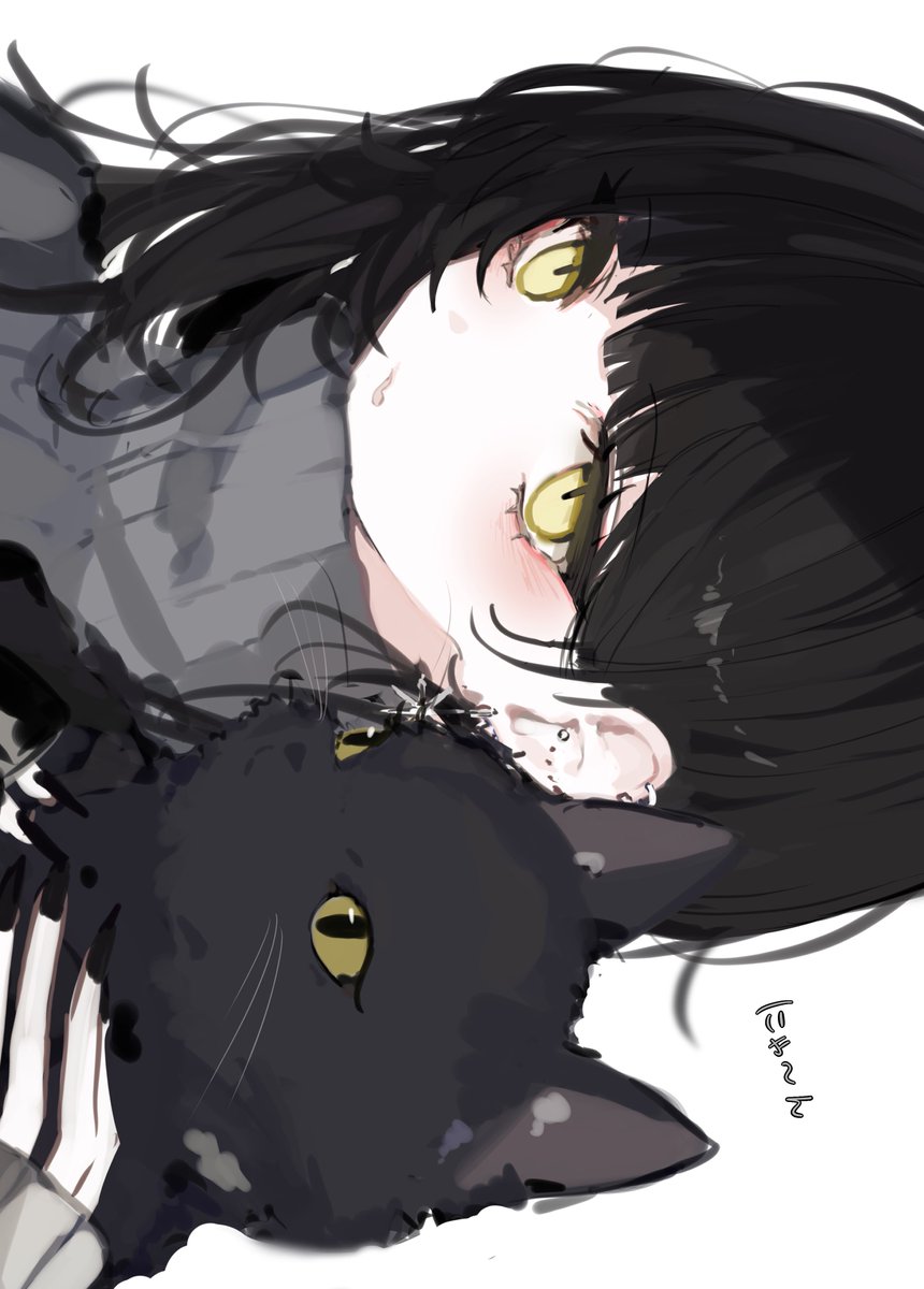 magnet_8_8's tweet photo. にゃ〜ん https://t.co/xQL2Fi4kRl