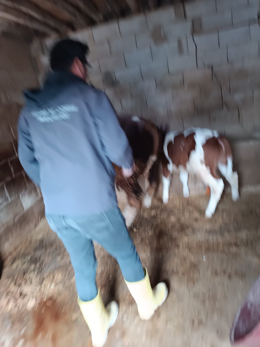 Haliliye İlçe Tarım ve Orman Müdürlüğü tweet media