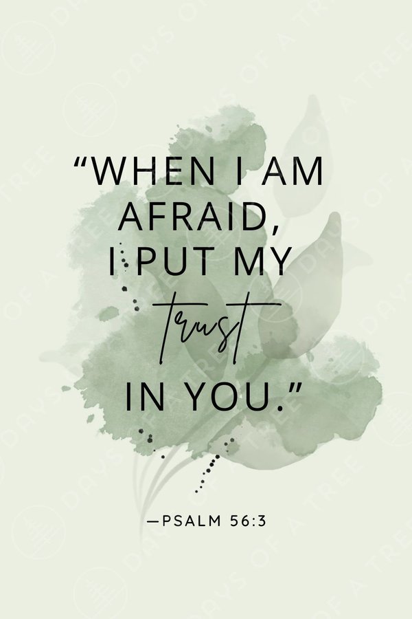 Bible365_'s tweet photo. https://t.co/jwMzfY3f9y