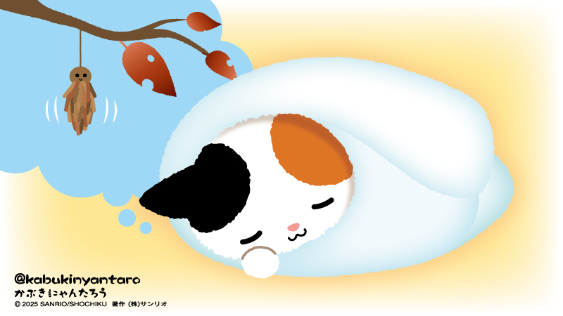 にゃんたろう 7/1追記あり】かぶきにゃんたろう バースデーキャラクター