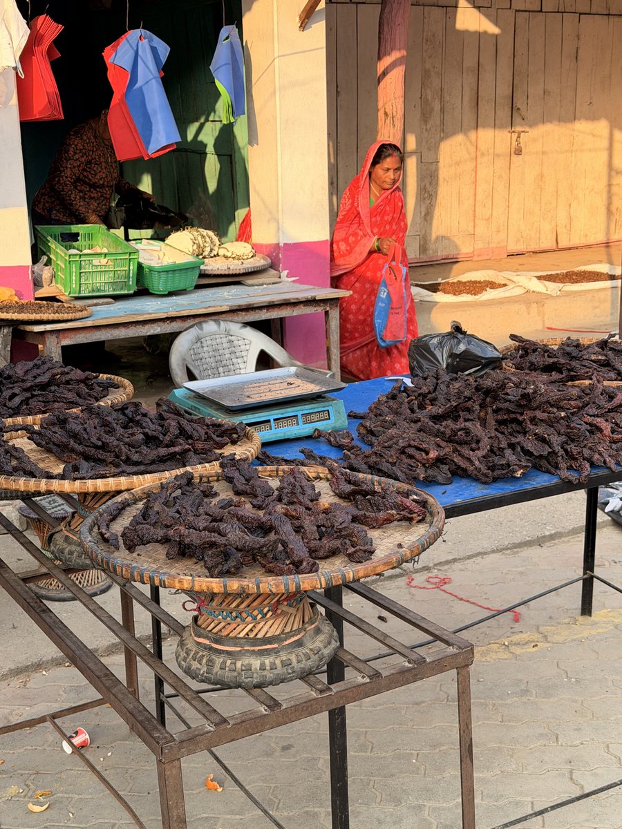 सितन कस्तो छ??😜