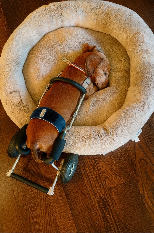 Please don't swipe past without sending him some love and Wishes!❤️🧡