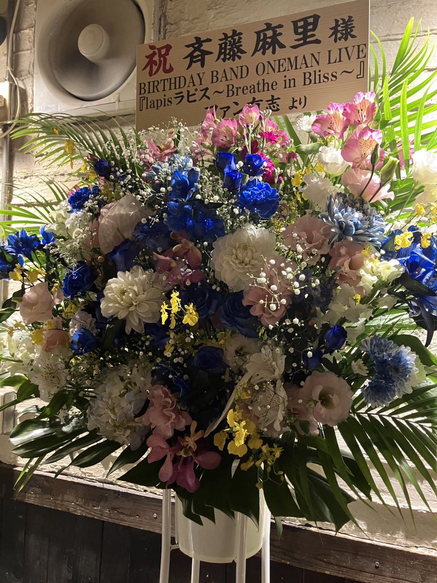 2025.12.7(日)
三軒茶屋グレープフルーツムーン🌙

B.Dワンマンライブ🥁🎸🎤✨
おかげで最っ高の1日になりました☺︎
幸せをたくさん吸い込んで愛と多幸感に溢れた時間。また一つ宝物の思い出が増えました🎁
みなさまありがとうございました！

📺幸せな配信12/14まで♪
premier.twitcasting.tv/mappeneko/shop…