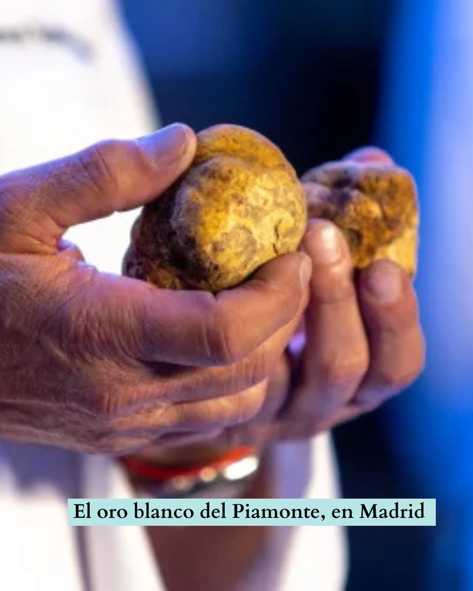 El hongo blanco 7canibales.com/opinion/el-hon… 
#SomosCanibales #NosAlimentamosDeHistorias