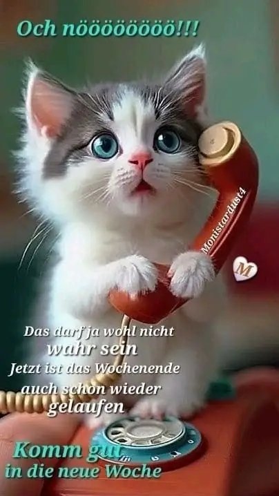 Schönen guten Morgen ☕️