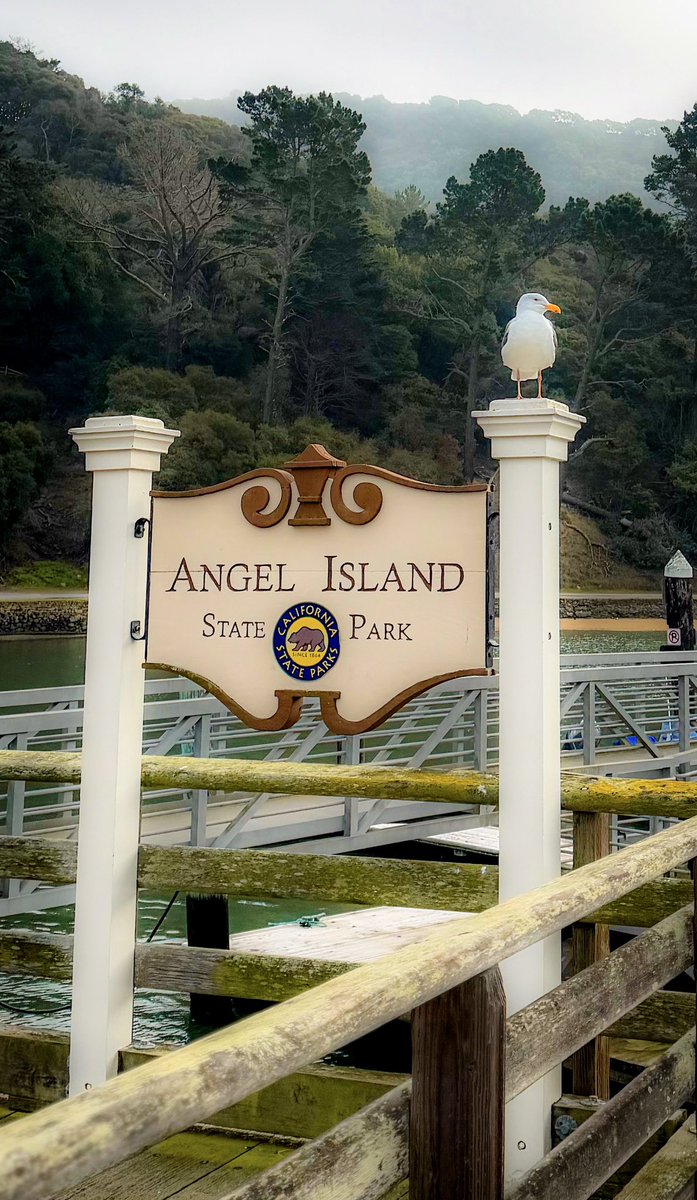 Angel Island อดีตกาลคือสถานที่ตรวจคนเข้าเมือง สหรัฐอเมริกา