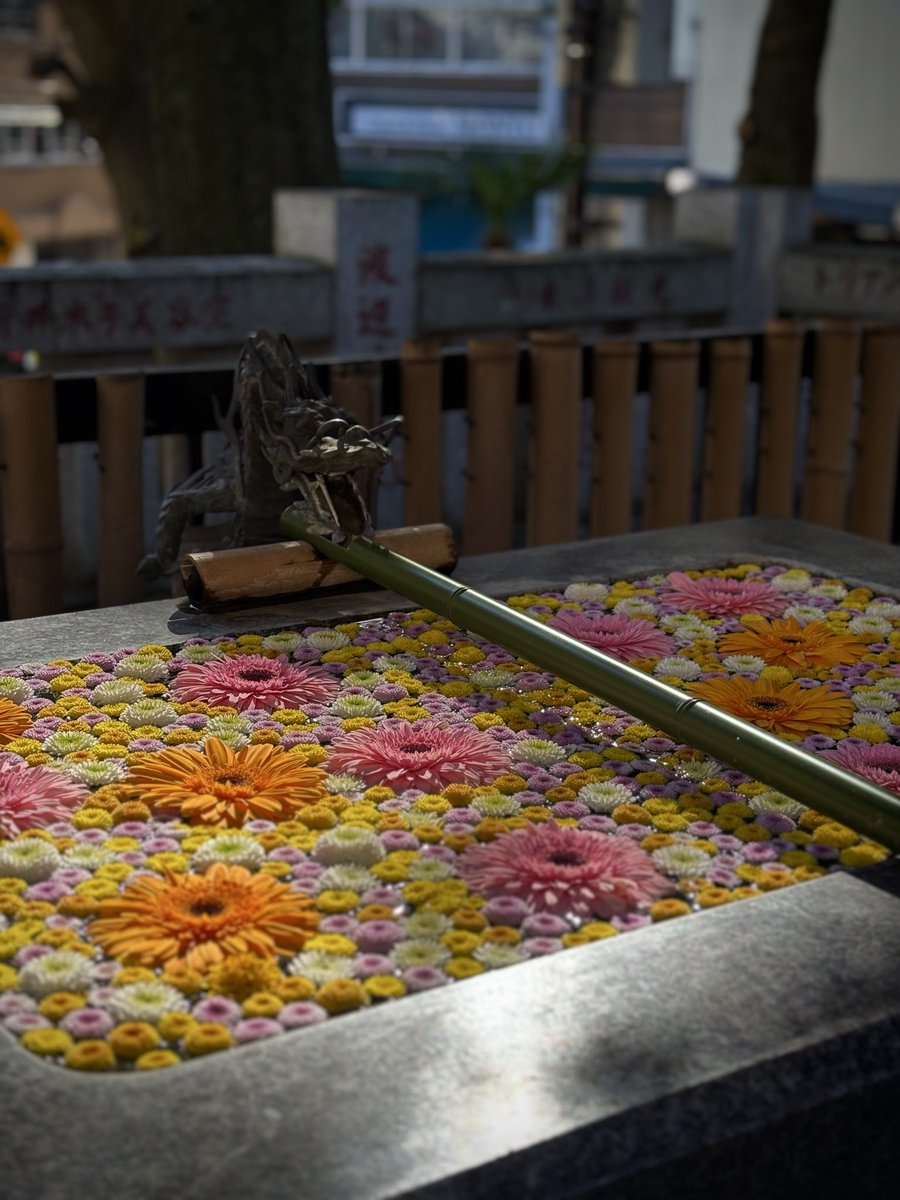 ୨୧┈ 𝚖𝚊𝚚𝚞𝚒𝚊 ┈୨୧ (@maq_ff14) / Posts / X