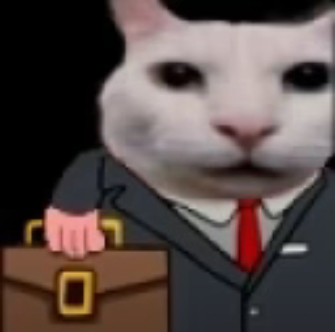 Getting back into cat memes, please drop some in comments