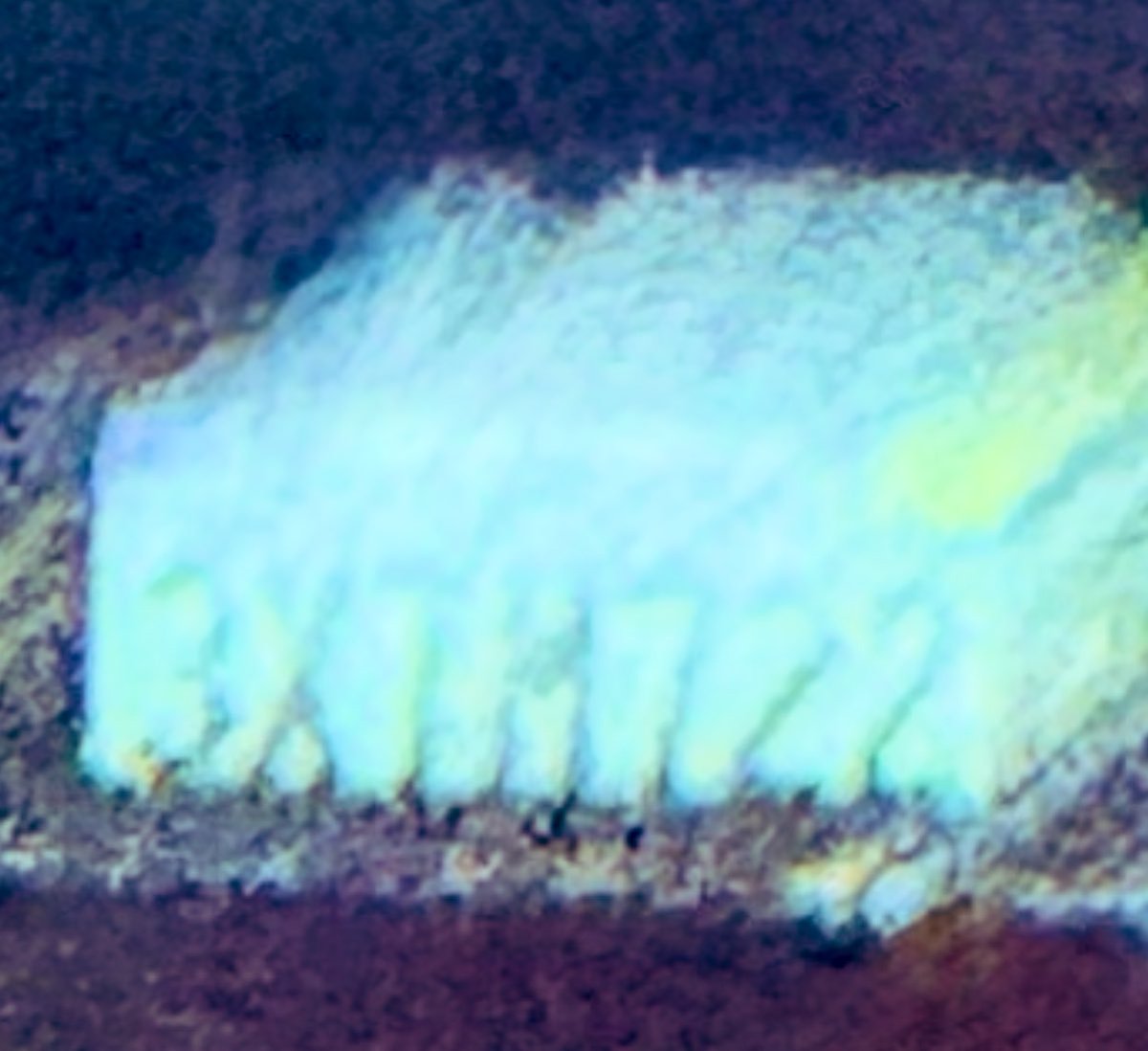 ThatChrisGore's tweet image. California is a lawless hellscape. Tonight my girlfriend and I were driving home on the 110 north and a vehicle with the license plate number 3XTM722 smashed us on the left side. We started following the car and tried to stop the car at the next exit and exchange insurance info.…