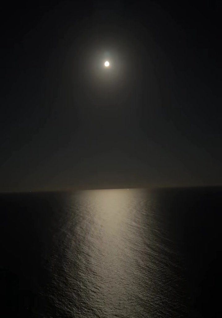 this is what zoning inward feels like. illuminating. reflecting. stripped to the core