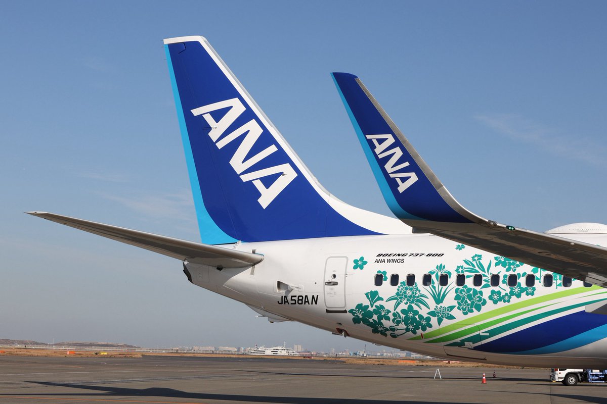 本日はこちらへ JA58AN( 737-800 )「ANA ふるさと JET」 いよいよ、ANA