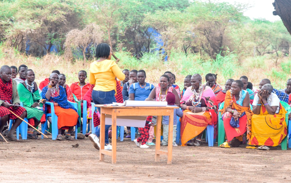 Nice Place Foundation tweet media