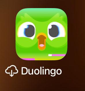 colocated_'s tweet image. You know it’s bad when @duolingo uninstalls itself because ~no hablo español~ 😅