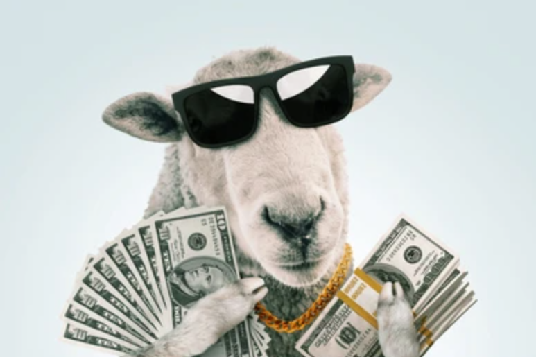 sheepcoin tweet media