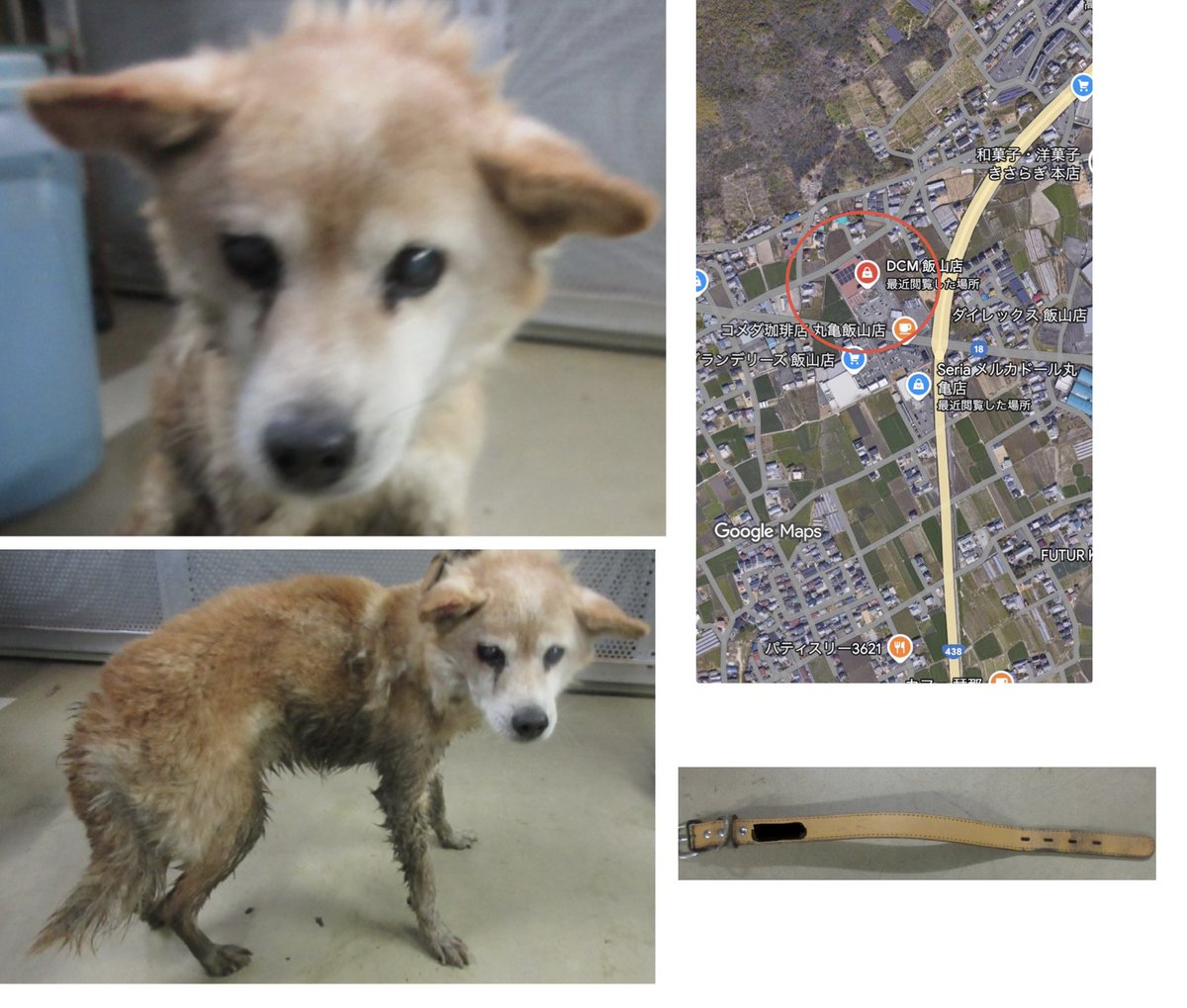 名札をつけた時は小さくて可愛かったはず。でも大きくなっても年を