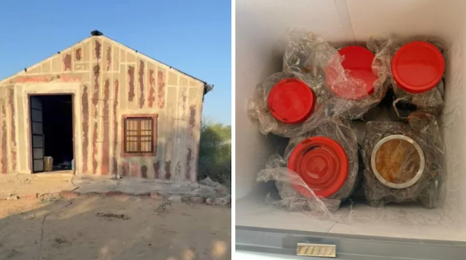 Gujarat ATS, Jodhpur police bust illegal MD drug factory; 6 held