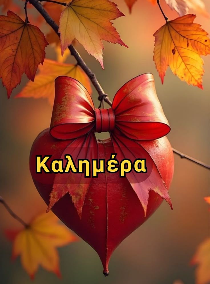 Καλημέρα όμορφη εβδομάδα...