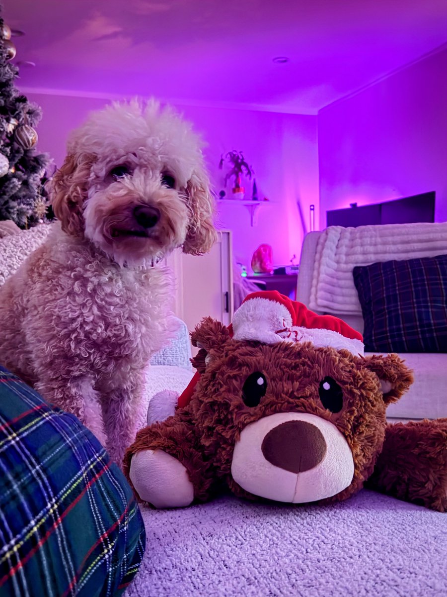 Can’t shake the feeling that are being watched