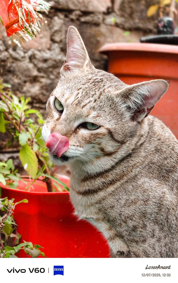 LoserAnant's tweet image. Exploring the 100mm portrait lens on the vivo V60 📸
These shots are clicked in 100mm to see how the lens handles depth, details &amp;amp; colors in real conditions.
What do you think about the output? Let me know 👇

#vivoV60 #ShotOnVivo