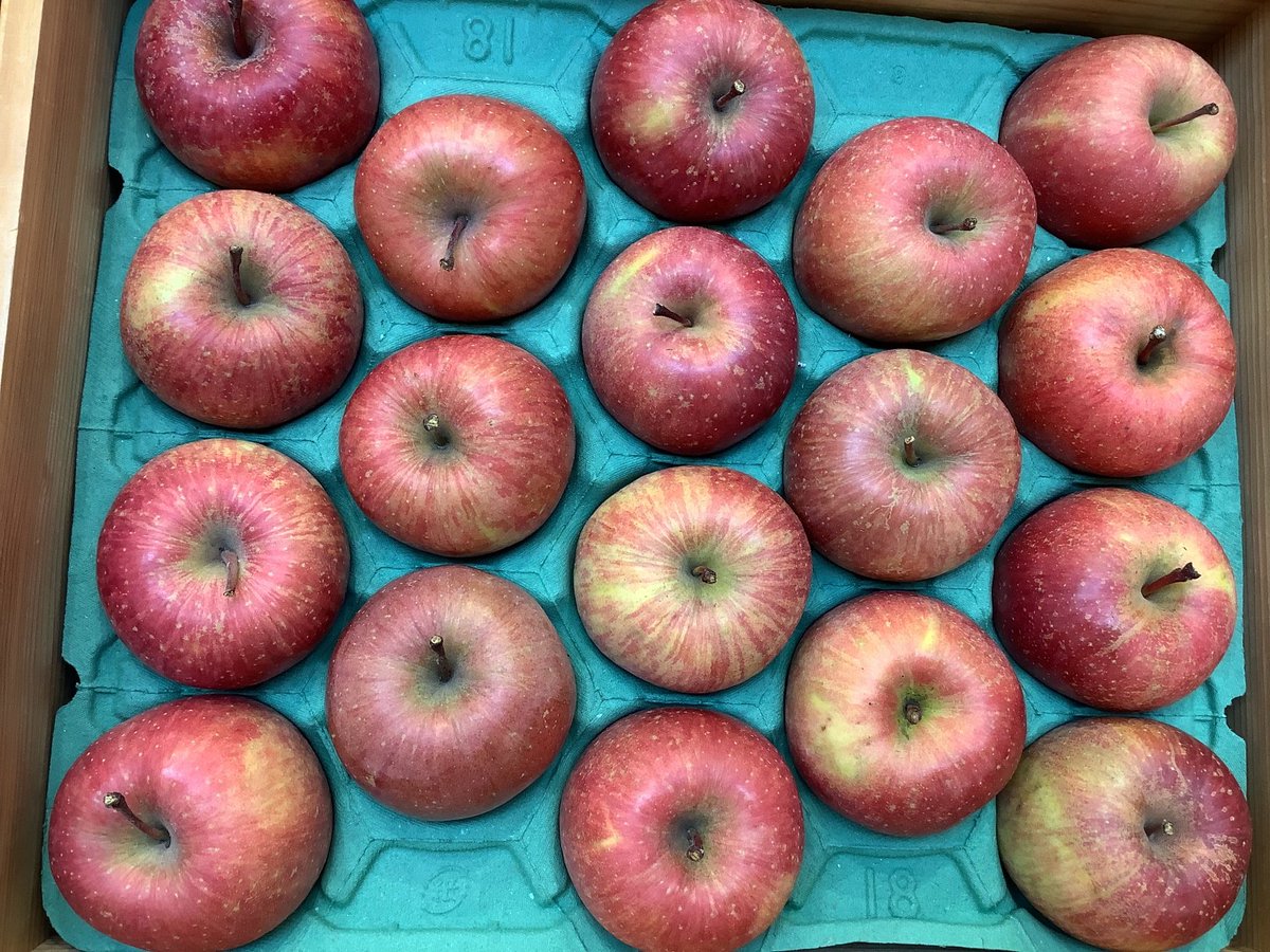 葉とらずりんご