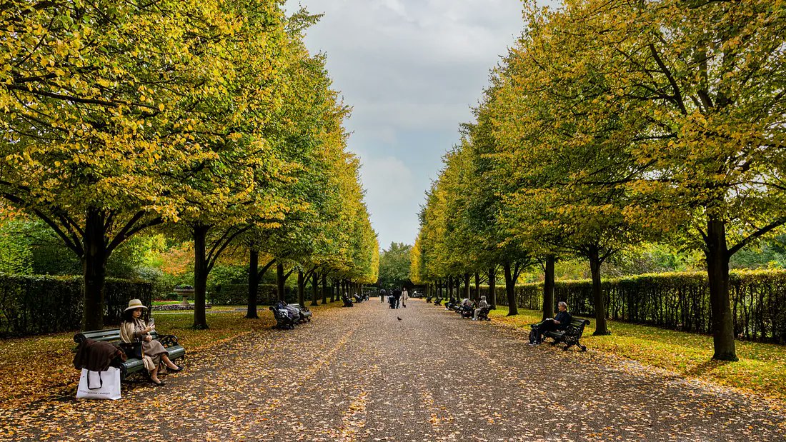 BetweenGrey's tweet image. Sedang iseng misal kalo versi english