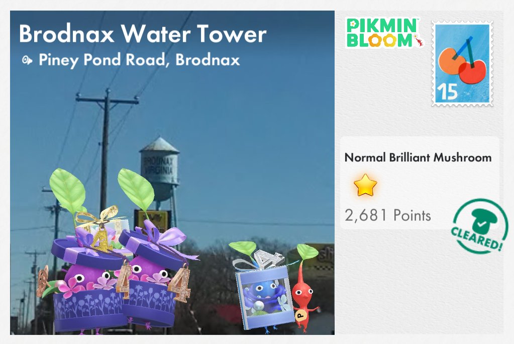 albert instein tweet media